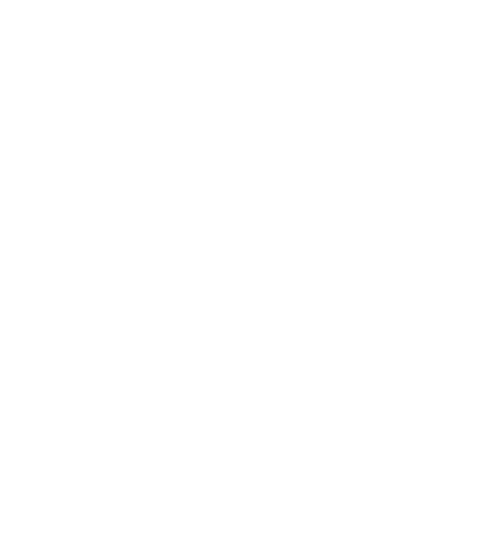 Airline Selection Programme